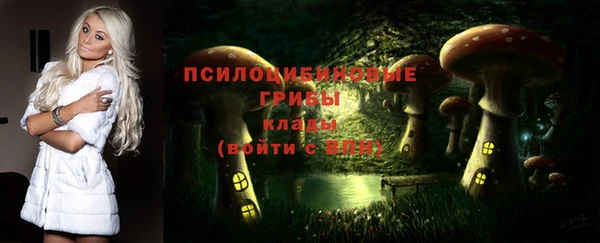 индика Абаза