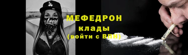 индика Абаза