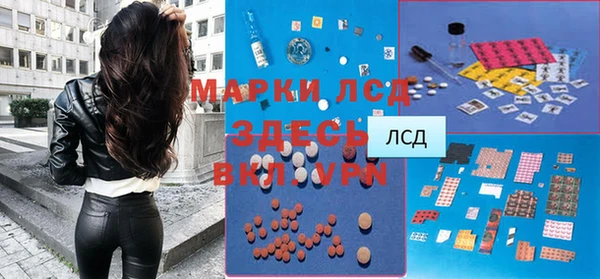 индика Абаза