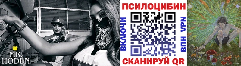 Галлюциногенные грибы прущие грибы  Абинск 